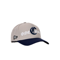 “COOL GREY” SNAPBACK
