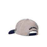 “COOL GREY” SNAPBACK