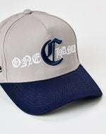 “COOL GREY” SNAPBACK